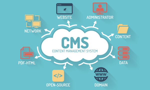 Content Management System (CMS)