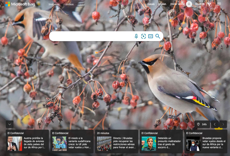 Motore di ricerca Bing