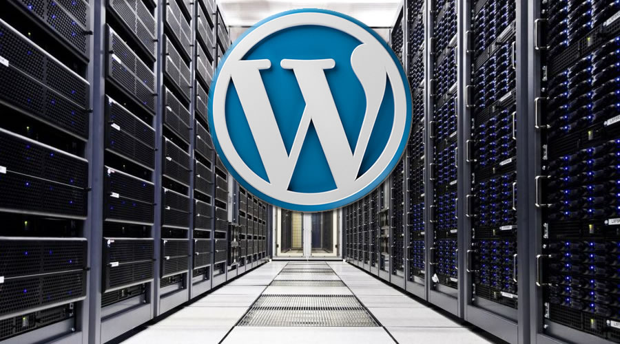 Guida Completa all'Hosting per WordPress Come Scegliere il Miglior Provider per le Tue Esigenze